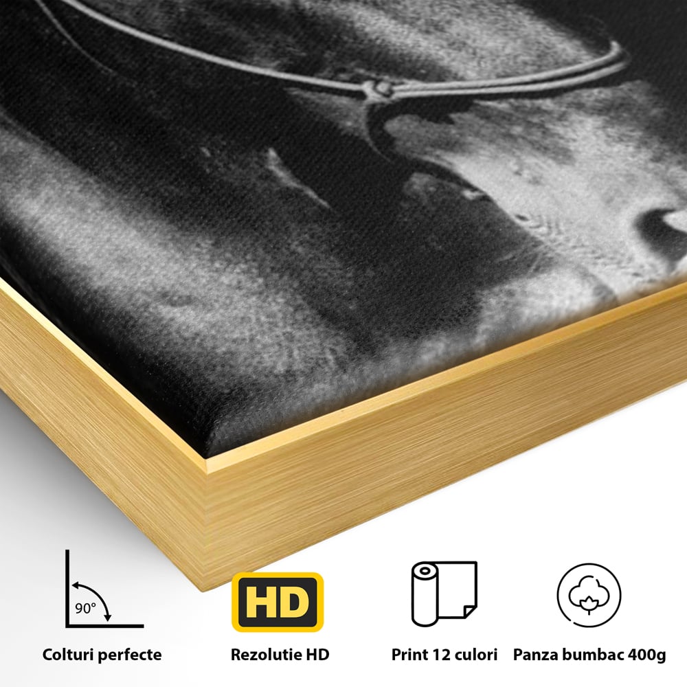 Detaliu al suprafetei: tablou canvas cu un cal negru, in rama de aluminiu auriu
